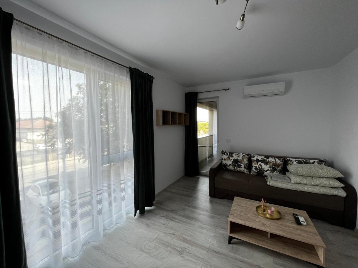 Apartament Modern Cu O Camera Apartment Timisoara Luaran gambar